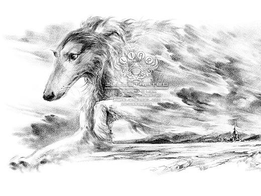 动物、低幼和儿童，到青春  2016年9月