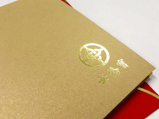 华侨宝logo设计