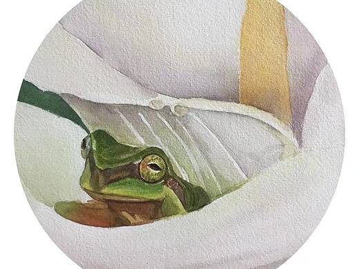 有青蛙🐸叫的时候了