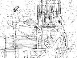 线稿4张