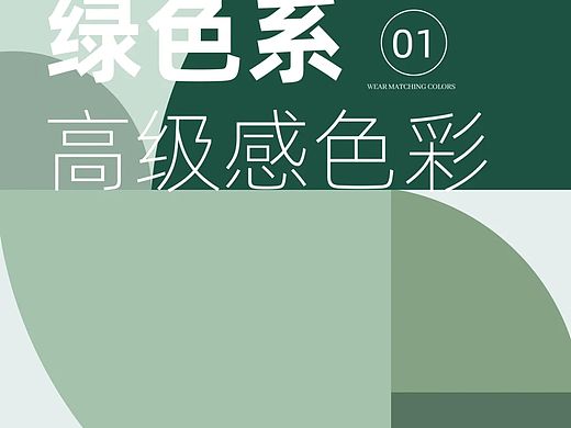绿色高级感色卡