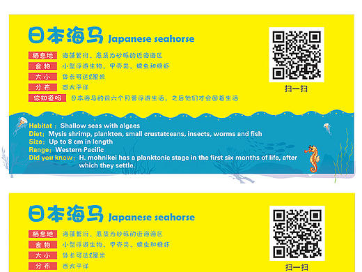门票设计