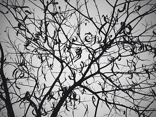 缘来珍惜，缘尽离去。