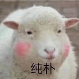 最可爱的啾啾啾的头像