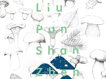 一个logo设计提案