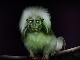 盗墓笔记 青铜树上的白猴子