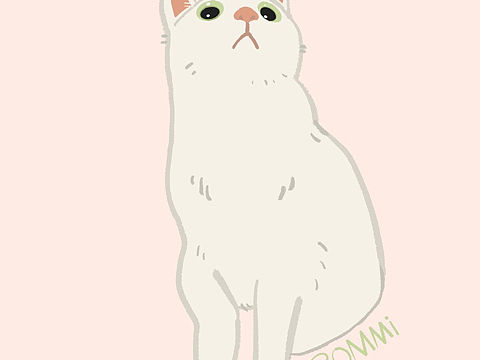 猫咪｜插画