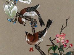 玉兰花（个人主页-ZMzA0MDUxNg==） - 文案/策划 - 站酷设计师amoroe原创素材 - 站酷ZCOOL