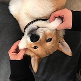 用戶頭像