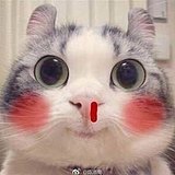 小何才露煎煎姣的头像