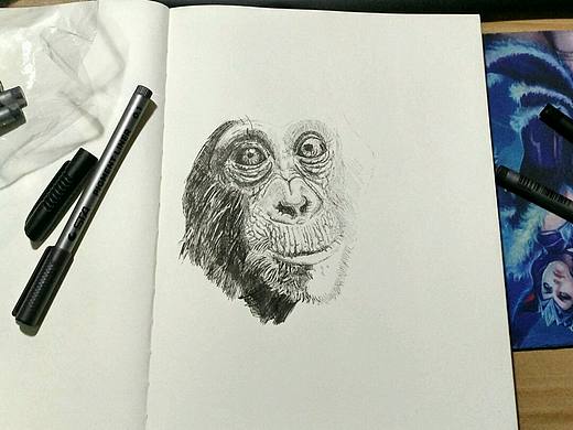 周末休息，画一下动物