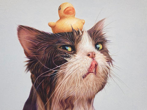 —彩铅动物猫咪