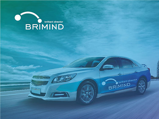 百智 BRIMIND - 卓悅領(lǐng)航者（個(gè)人主頁(yè)-ZMTYxODczMDA=） - Logo - 站酷設(shè)計(jì)師Mutualwin原創(chuàng)素材 - 站酷ZCOOL