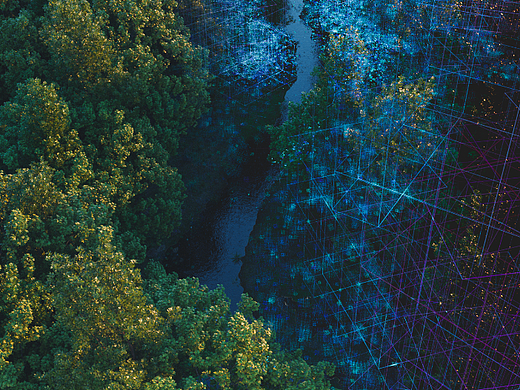 数字森林 动画渲染（个人主页-ZNjY1NjY3MDQ=） - 动画/影视 - 站酷设计师流年赞歌原创素材 - 站酷ZCOOL