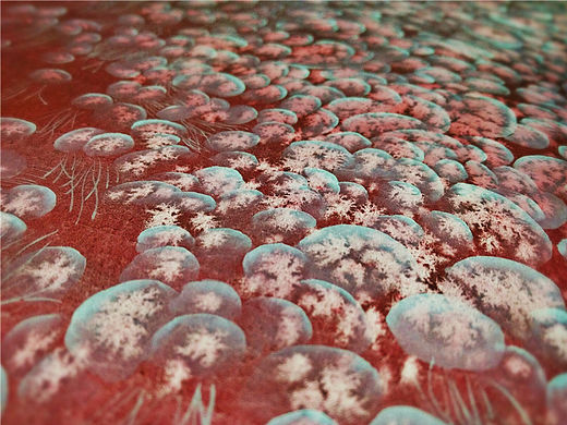 【雲上的病態】之叁