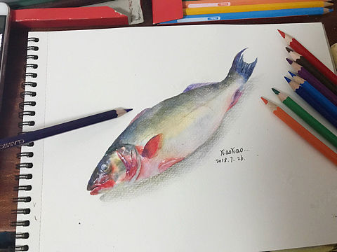 彩铅 鱼