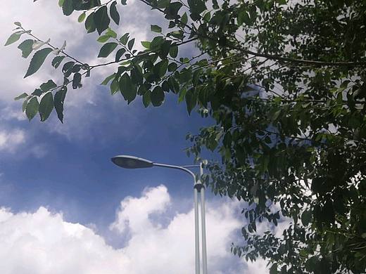仰望天空