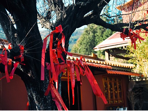 虛寧寺（個人主頁-ZNjI1MTA1NjQ=） - 風(fēng)光攝影 - 站酷設(shè)計師豆芽菜丨原創(chuàng)素材 - 站酷ZCOOL