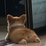 废物小熊的头像