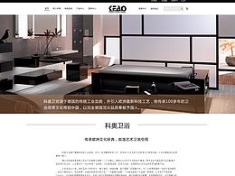 网页设计