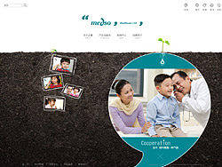 正誉医疗用品官网网页设计提案