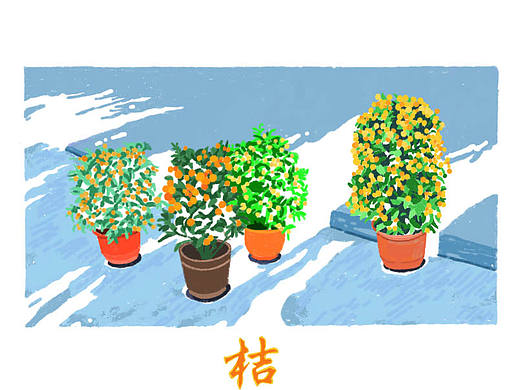 《彩色日历》2021.2.2