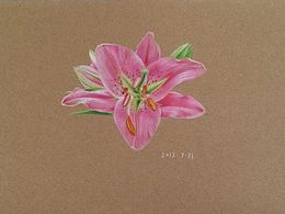 彩鉛畫花（涂鴉版）