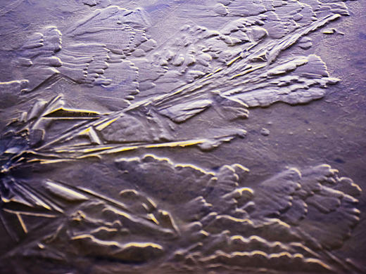 冰 冰纹 冰文化