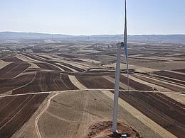 武川的红色土壤