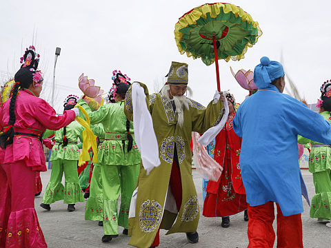 非物质文化遗产 王皮戏