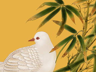 纯painter软件手绘，工笔花鸟国画1