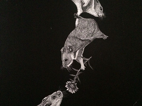 刮画作品《鼠你最好》