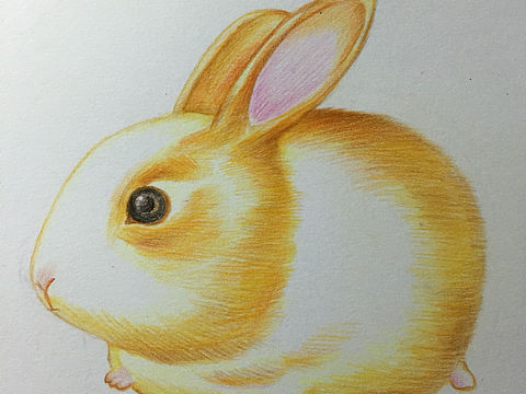 我的手绘历程 第一步！