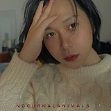摄影师大鹏More的头像