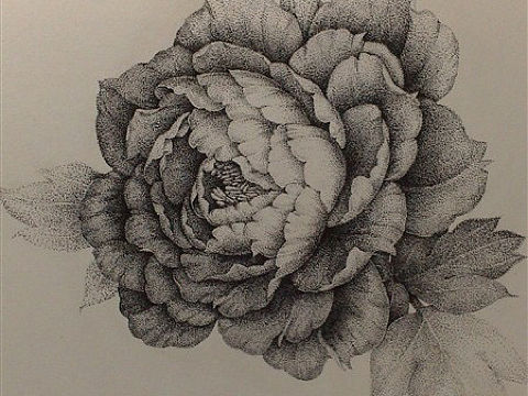 水彩花卉（個人主頁-ZMTUyODYwMjg=） - 其他 - 站酷設(shè)計師平平仄仄0826原創(chuàng)素材 - 站酷ZCOOL