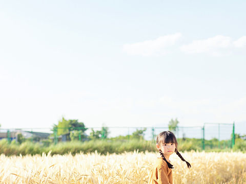 麦田女孩