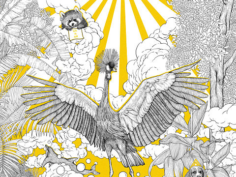 插画《扶摇直上》
