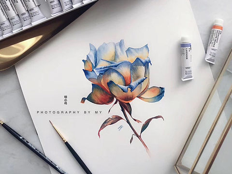 明小花水彩～冷集之爱～