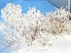 只是 雪（个人主页-ZNTM5NzMy） - 产品摄影 - 站酷设计师厚冰原创素材 - 站酷ZCOOL