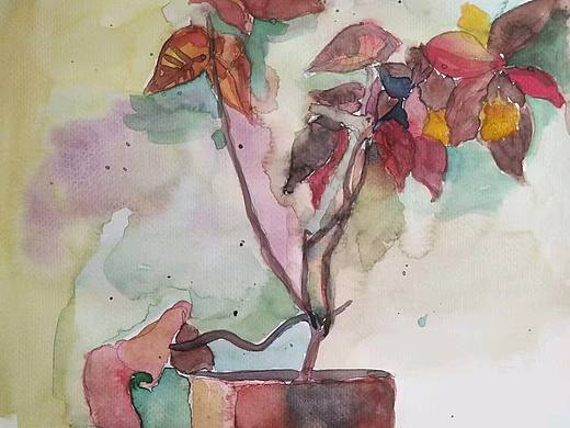 水彩花卉