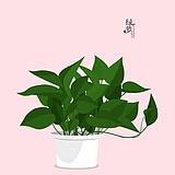 欧阳追风的头像