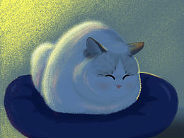 貓