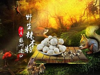 辣木籽详情（个人主页-ZNjI3MzkzMg==） - 电商 - 站酷设计师帅叼小微原创素材 - 站酷ZCOOL
