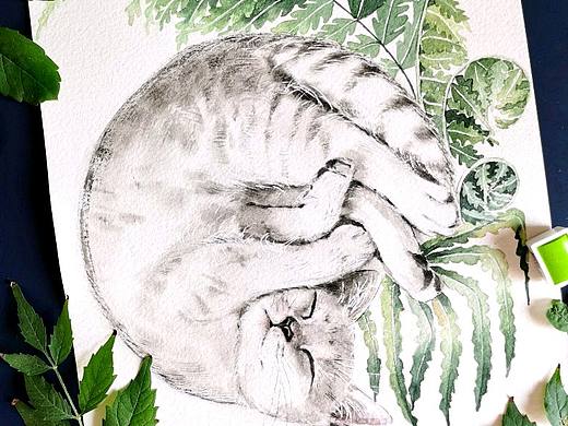 水彩小猫