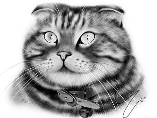 原創(chuàng)黑白素描帶項圈貓咪（個人主頁-ZNTMwODYwNA==） - 商業(yè)插畫 - 站酷設計師希塔插畫原創(chuàng)素材 - 站酷ZCOOL