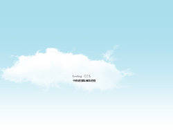 优态国际项目网站飞机