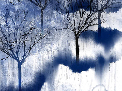 你和我都是孤岛