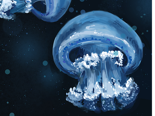 水母