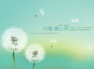 印象·蒲公英（个人主页-ZMzQ3MTA0MA==） - APP界面 - 站酷设计师万福一丁原创素材 - 站酷ZCOOL