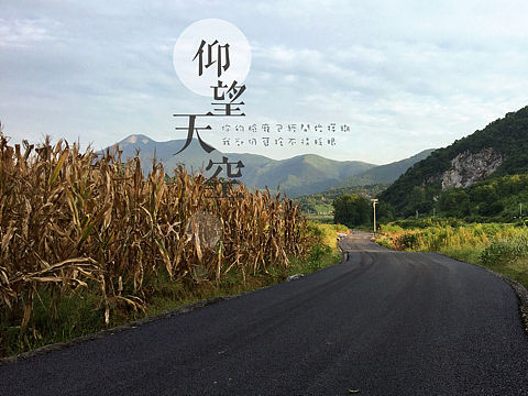 早秋（個人主頁-ZMTc5MjY2OTY=） - 風光攝影 - 站酷設計師愛笑的貓咪原創(chuàng)素材 - 站酷ZCOOL